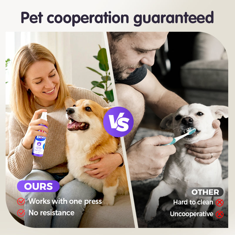 🔥Limited Time🔥Teeth Cleaning Spray for Pets