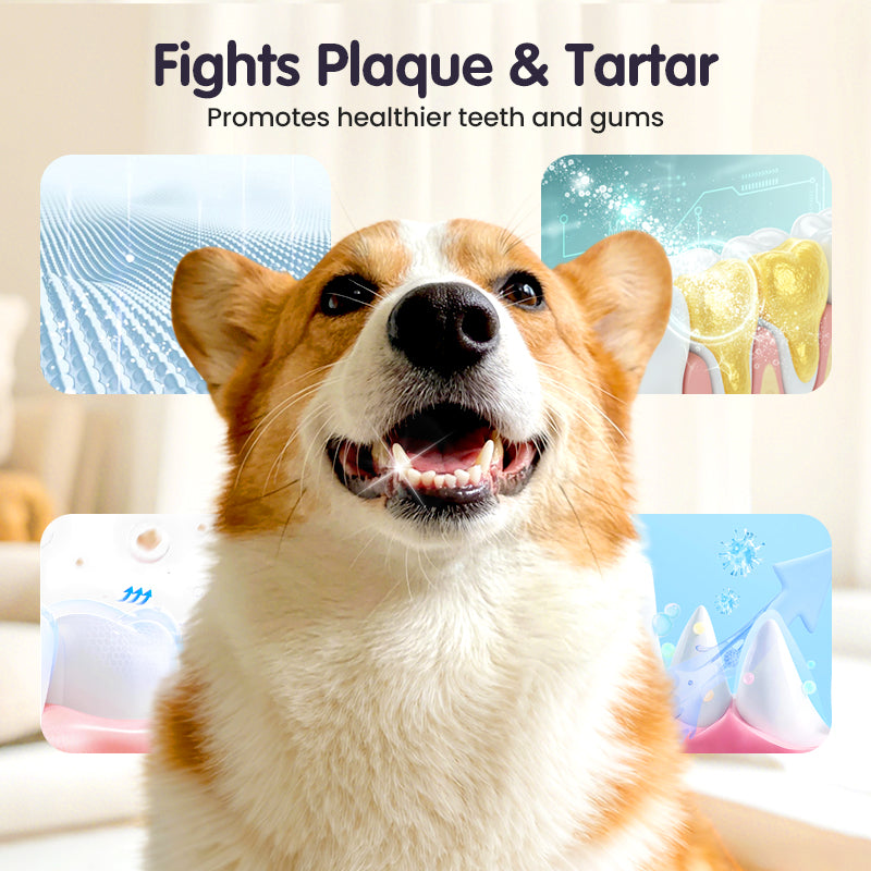 🔥Limited Time🔥Teeth Cleaning Spray for Pets