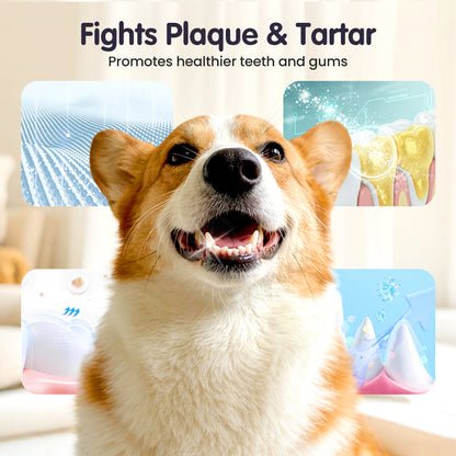 🔥Limited Time🔥Teeth Cleaning Spray for Pets