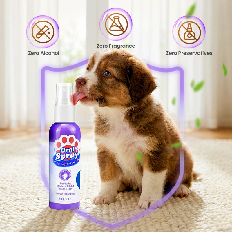 🔥Limited Time🔥Teeth Cleaning Spray for Pets