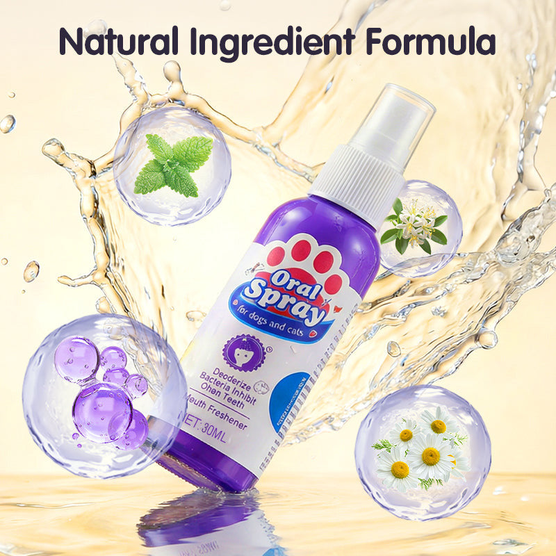 🔥Limited Time🔥Teeth Cleaning Spray for Pets