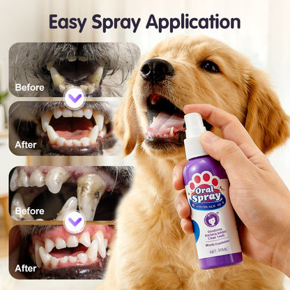 🔥Limited Time🔥Teeth Cleaning Spray for Pets