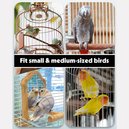 ✨ A 2-in-1 bird feeder and waterer—keep pet care neat and tidy! ✨