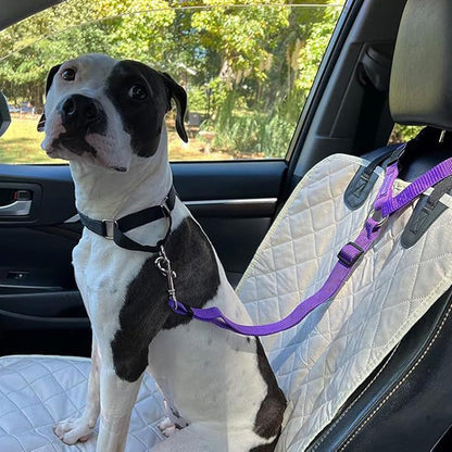 🐕🦺2-in-1 Dog Seatbelt and Leash