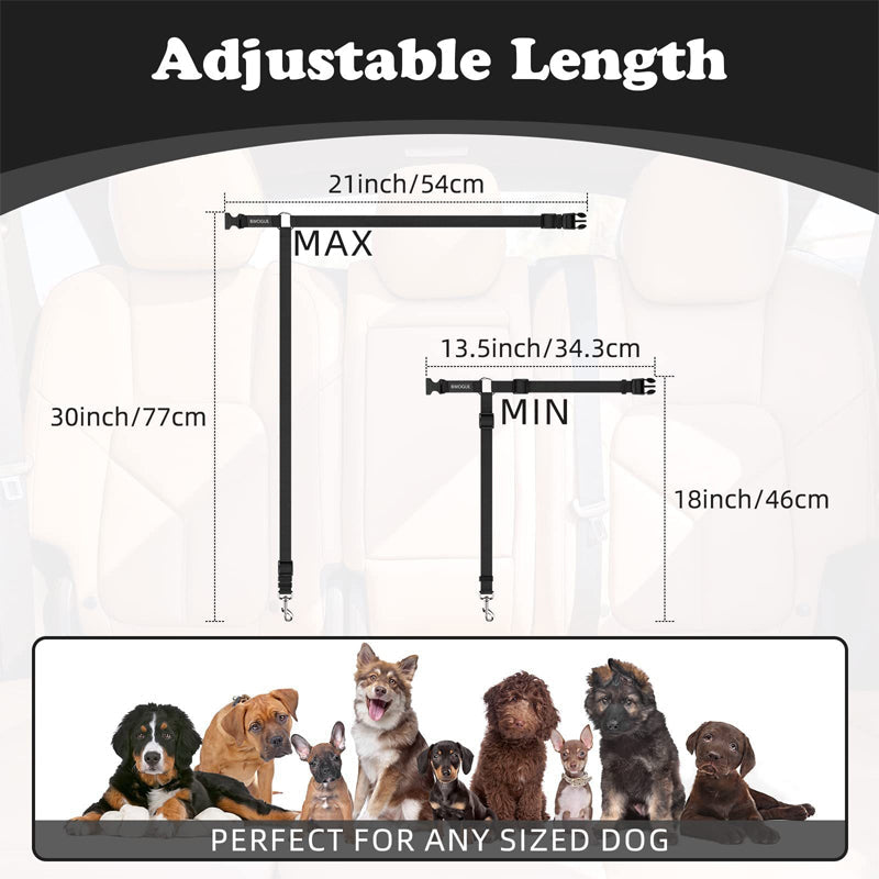 🐕🦺2-in-1 Dog Seatbelt and Leash