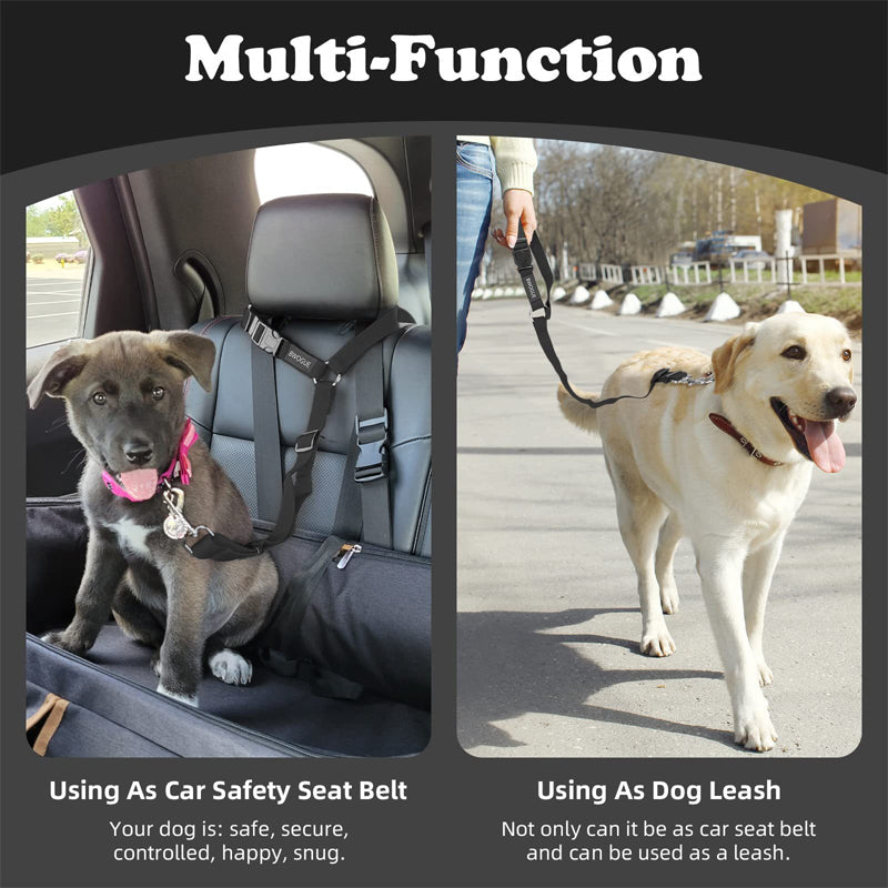 🐕🦺2-in-1 Dog Seatbelt and Leash
