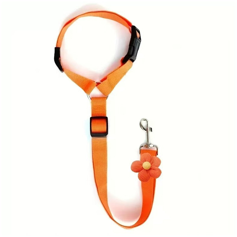 🐕🦺2-in-1 Dog Seatbelt and Leash