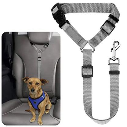 🐕🦺2-in-1 Dog Seatbelt and Leash