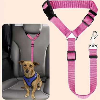 🐕🦺2-in-1 Dog Seatbelt and Leash