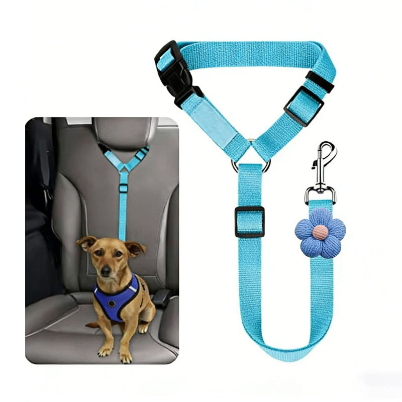 🐕🦺2-in-1 Dog Seatbelt and Leash