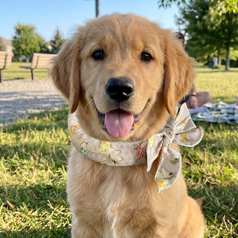 ❄️ Summer Pet Cooling Collar Wrap – Physical Cooling, Reusable, Adjustable 🌊